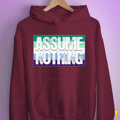 Assume Nothing Gay Male Pride Flag Hoodie - Maroon